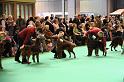 Crufts2010 1389